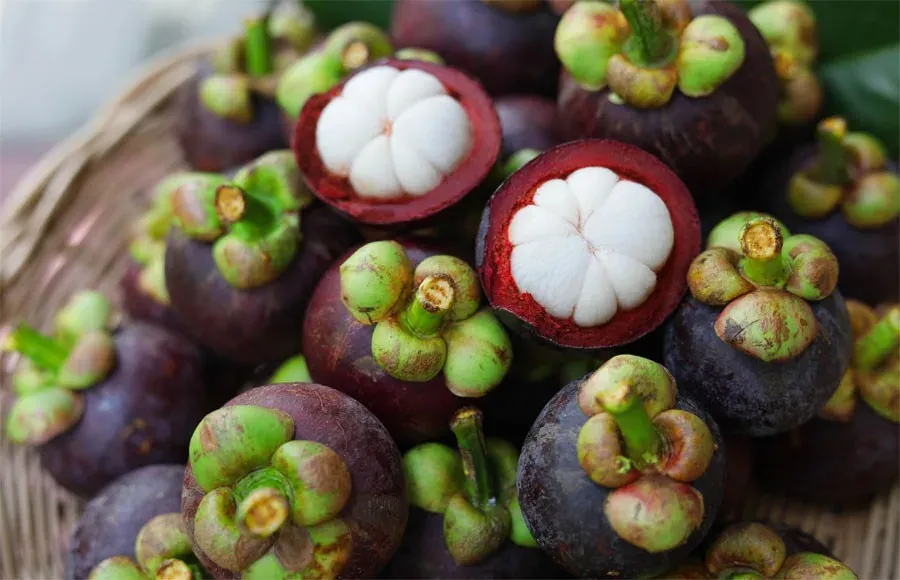 Mapping the export potential of East Java’s mangosteen as part of the Indonesia-Australia economic partnership