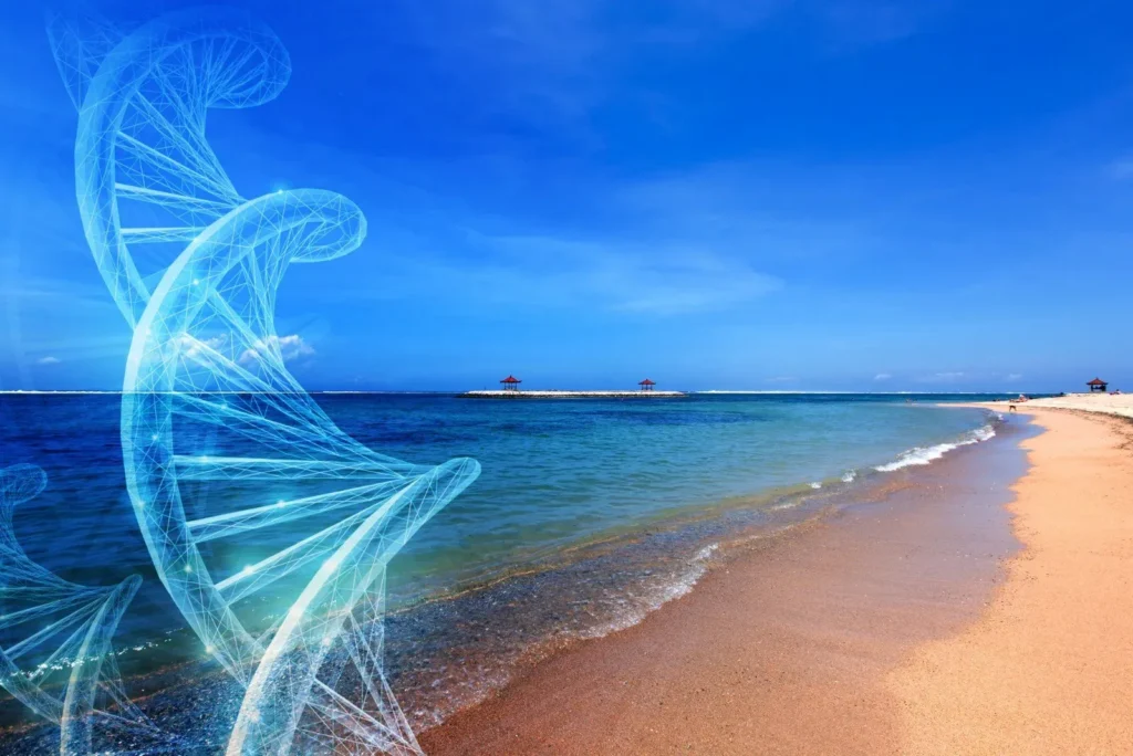 Medical tourism &ndash; Sanur regenerative health clinic