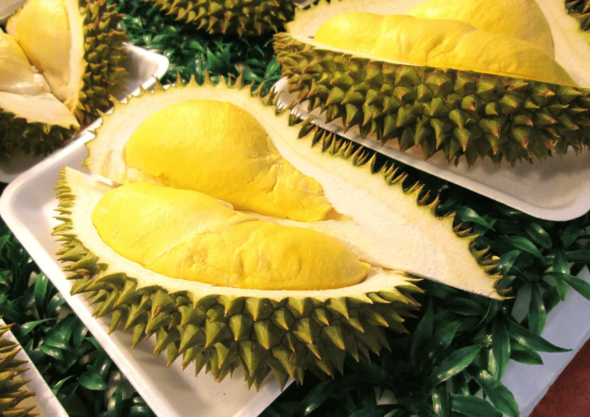 From tariffs to opportunity: Indonesia’s agricultural export pivot to Australia